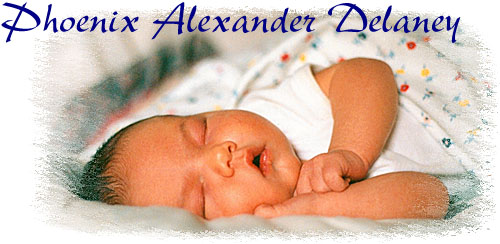 Phoenix Alexander Delaney
